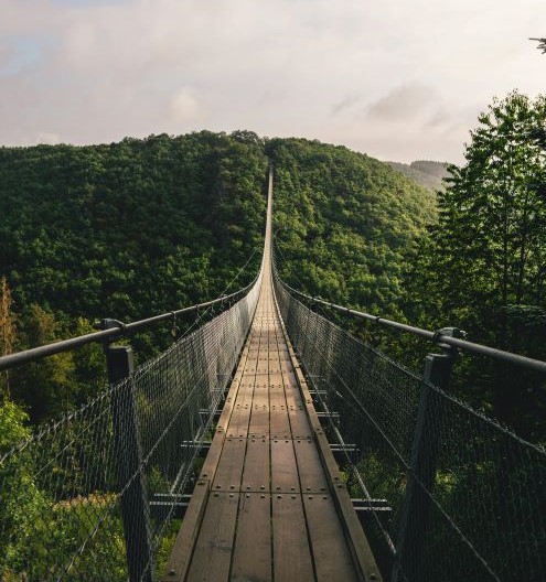 bridge and green trees